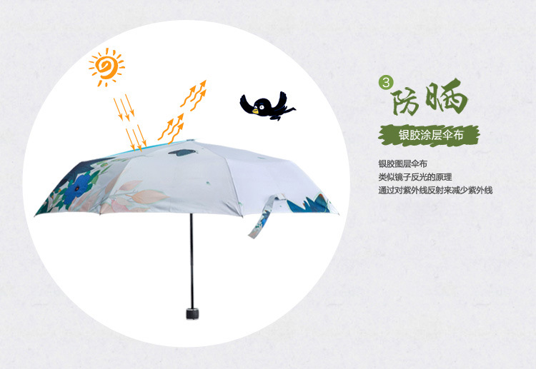 小清新雨伞